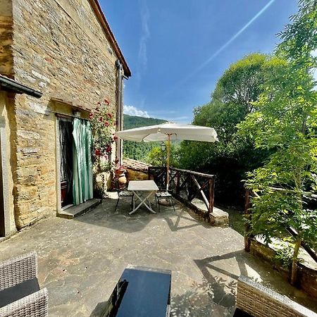 Il Colle - Apartment Gelso San Godenzo 외부 사진